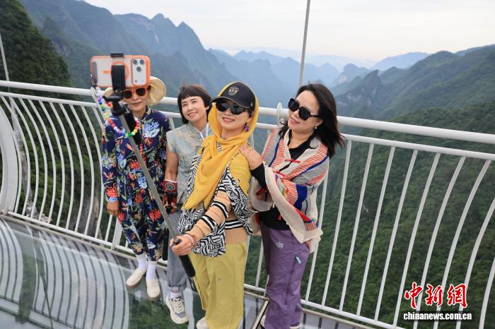 金年会平台：娱乐资讯与互动体验的融合 - 金年会